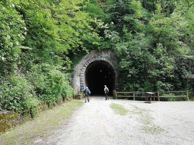 Mai 2024 : Les lignes du Sud du Jura