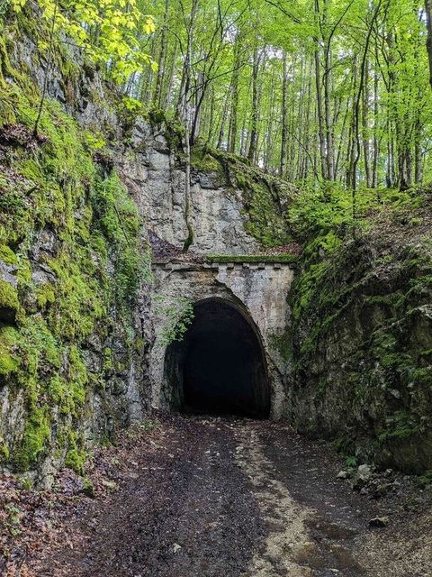Mai 2024 : Les lignes du Sud du Jura